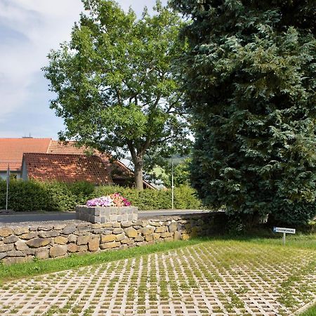 Ferienwohnung Wiesenschneiders Freiensteinau Zewnętrze zdjęcie